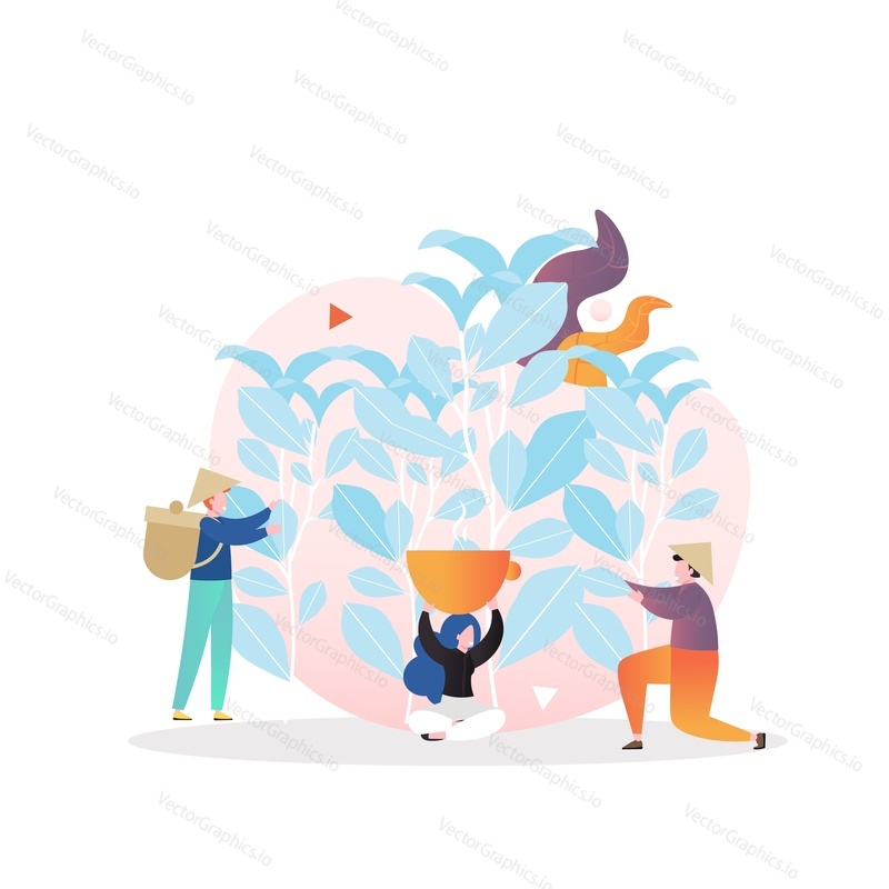 Asian farmers tea pickers plucking tea leaves from bush by hand, vector illustration. Tea harvesting composition for web banner, website page etc.