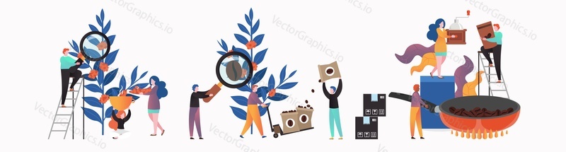 Male and female characters harvesting, processing, packaging, roasting and grinding coffee beans, vector illustration. Coffee industry production concept for web banner, website page etc.
