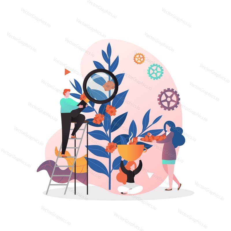 Farmers male and female characters picking red coffee cherries, vector illustration. Coffee industry production composition for web banner, website page etc.