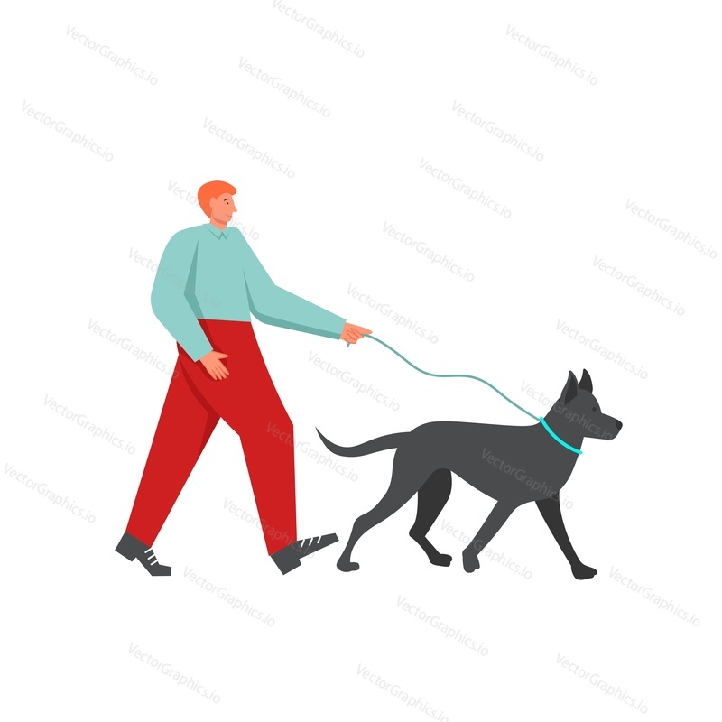 Man walking the dog, vector flat style design illustration isolated on white background. Walk in the park concept for web banner, website page etc.
