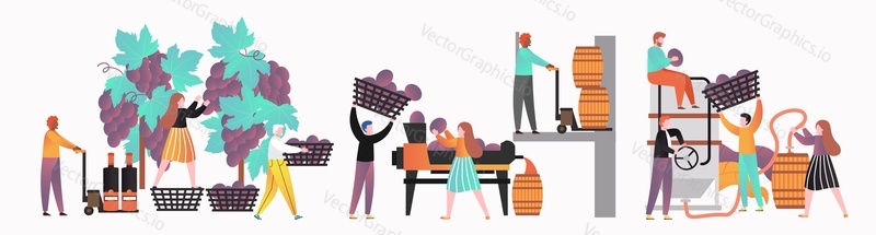 People involved in wine making process, vector illustration isolated on white background. Harvesting, crushing, pressing, fermentation wine production stages.