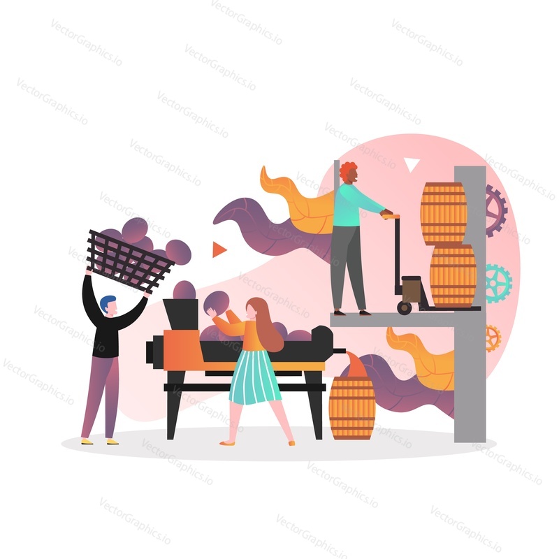 Crushing, the second step of wine making process, vector illustration. Wine production, winery, winemaking technology concept for web banner, website page etc.