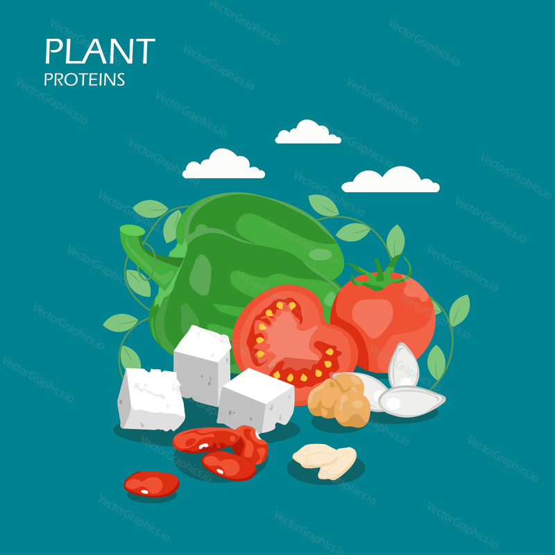 Plant proteins vector flat style design illustration. Green pepper, tomatoes, tofu, beans, chickpeas, pumpkin seeds. Plant-based protein foods composition for web banner, webpage etc.