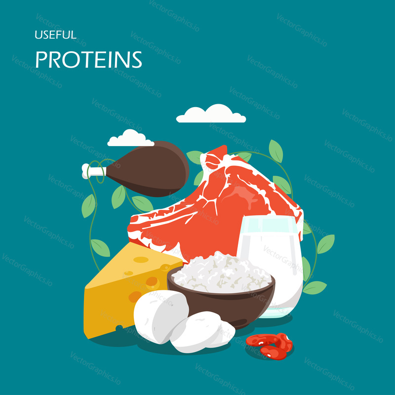 Useful proteins vector flat style design illustration. Meat, dairy products chicken, beef, milk, swiss cheese, cottage cheese, tofu and beans. High protein foods composition for web banner webpage etc