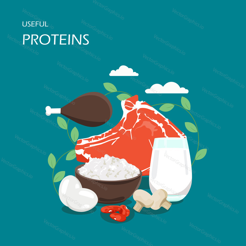 Useful proteins vector flat style design illustration. Chicken and beef meat, milk, cottage cheese, eggs, mushrooms, beans. High protein foods composition for web banner, website page etc.