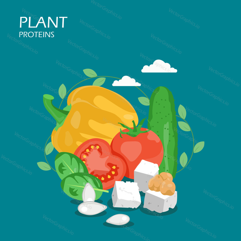 Plant proteins vector flat style design illustration. Yellow pepper, tomatoes, tofu, chickpeas, pumpkin seeds, cucumber, spinach. Plant-based protein foods composition for web banner, webpage etc.
