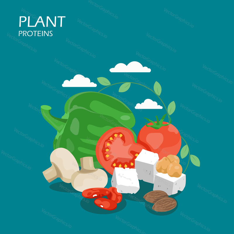 Plant proteins vector flat style design illustration. Green pepper, tomatoes, tofu, beans, chickpeas, mushrooms, almonds. Plant-based protein foods composition for web banner, webpage etc.