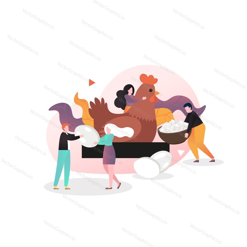 Micro male and female characters petting and feeding huge chicken, collecting eggs, vector illustration. Hennery, poultry farming, chicken industry concept for web banner, website page etc.