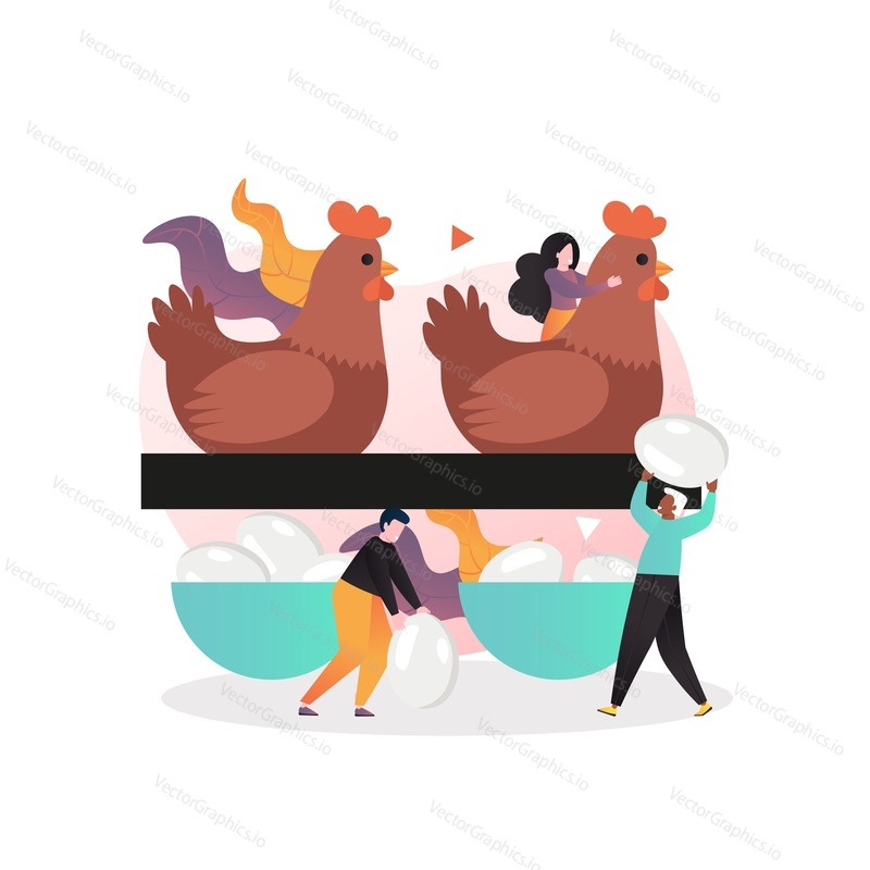 Poultry farm workers male and female characters collecting chicken eggs, vector illustration. Organic eggs production, chicken farming, aviculture concept for web banner, website page etc.