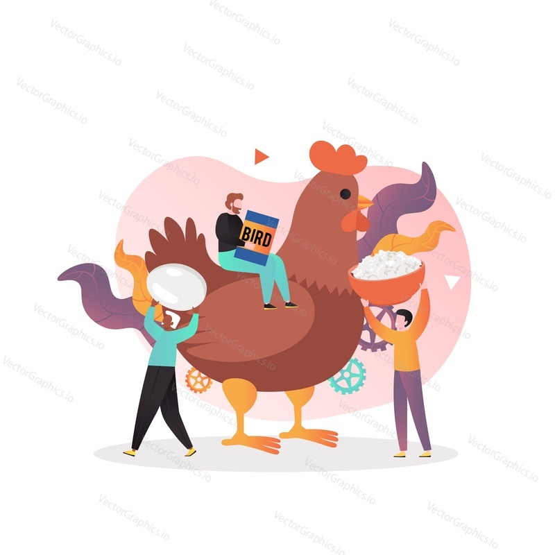 Micro male characters feeding huge chicken, vector illustration. Poultry farming, organic eggs, meat farm products concept for web banner, website page etc.