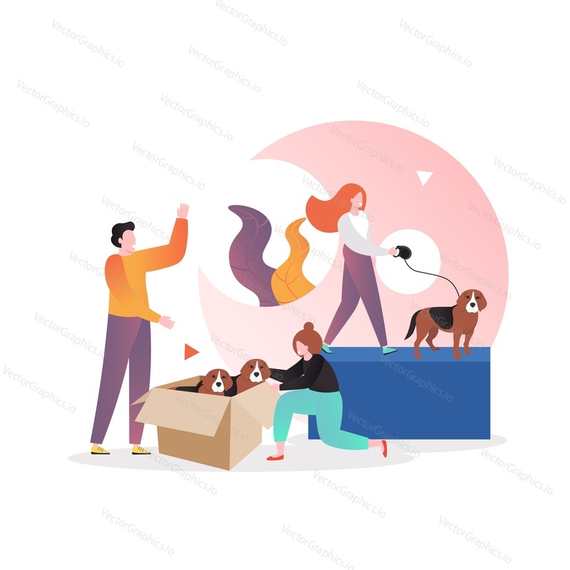 Happy women cartoon characters walking dog on leash, petting cute puppies sitting in cardboard box, vector illustration. Pet care concept for web banner, website page etc.