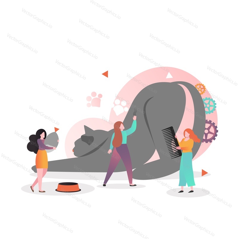 Micro female characters feeding, combing and stroking huge beautiful cat, vector illustration. Pet care, cat supplies, grooming services concept for web banner, website page etc.