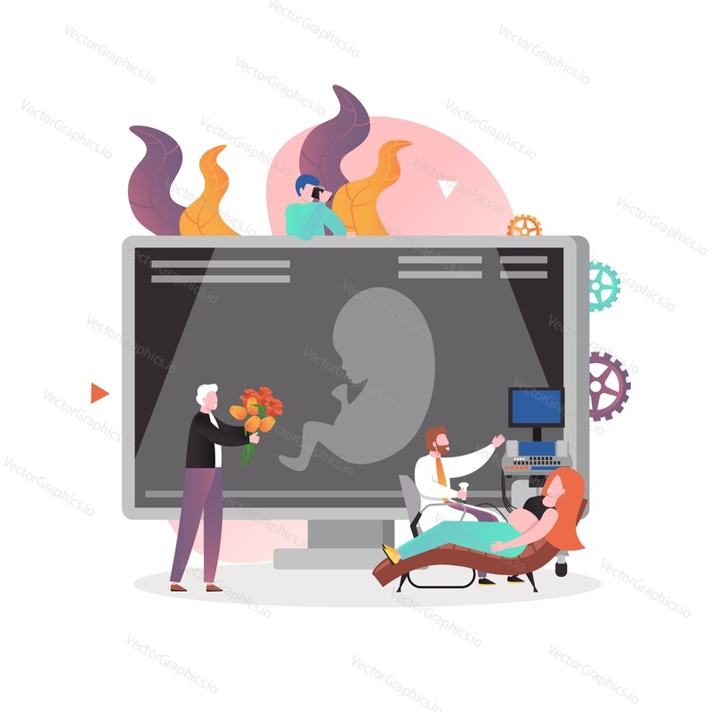Medical specialist doctor performing ultrasound examination of pregnant woman, vector illustration. Ultrasound scan medical test, sonography concept for web banner, website page etc.