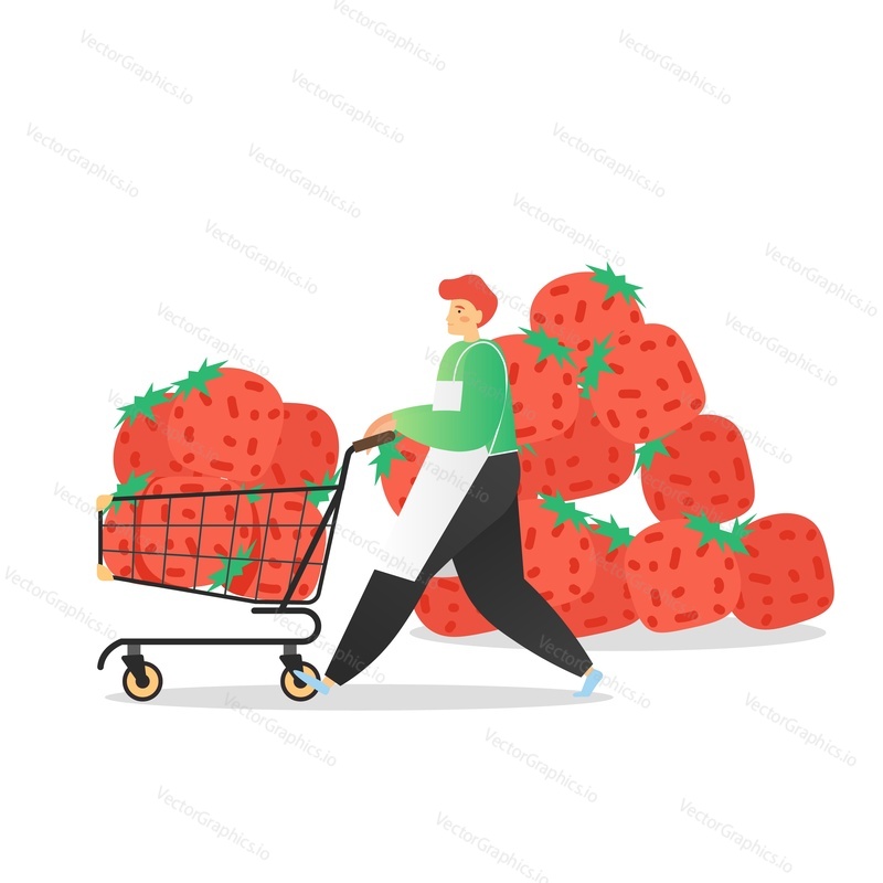 Young man pushing cart with ripe strawberries, vector flat illustration. Strawberry harvesting, transportation, fruit ice cream and other desserts production.