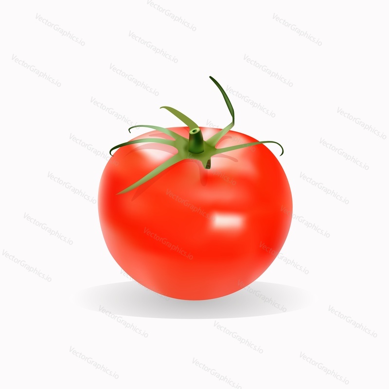 Свежий красный помидор, векторная иллюстрация, изолированная на белом фоне. Реалистичный спелый помидор, здоровая и органическая пища для плаката, баннера, этикетки и т.д.
