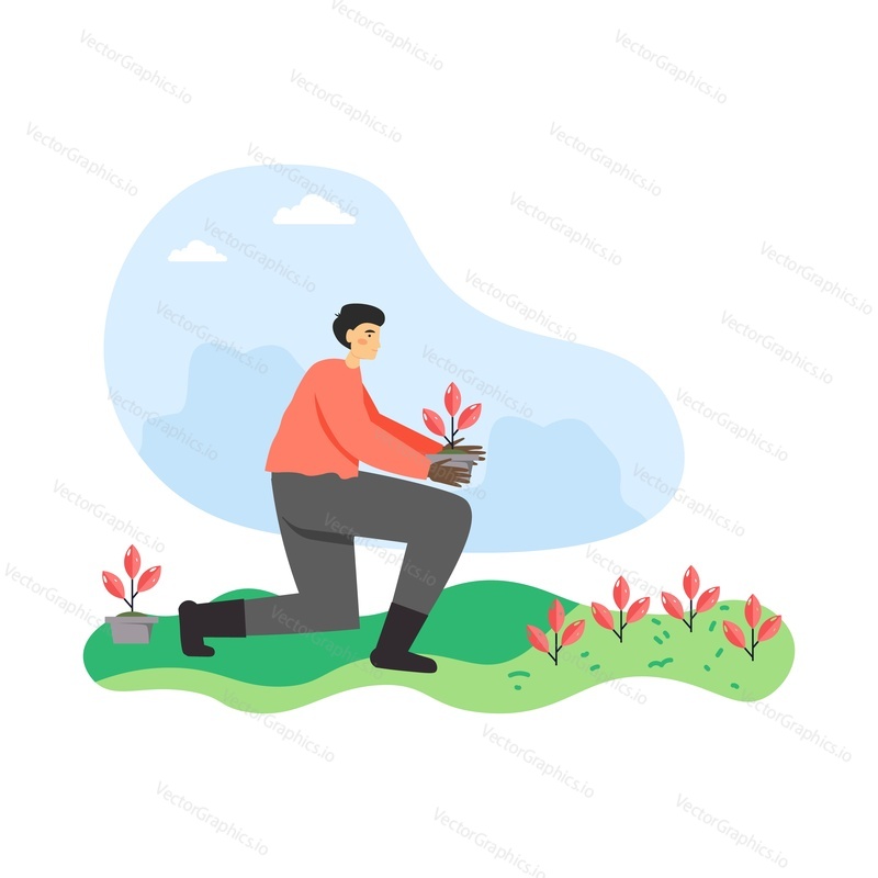 Young man, gardener, farmer planting out seedlings, growing plants in garden, flat vector illustration. Gardening, agriculture, farming industry.