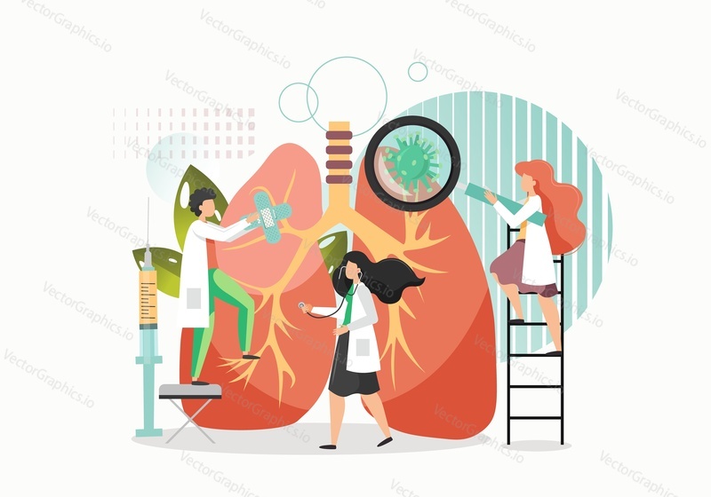 Lung inspection vector flat illustration. Huge human lungs, micro characters doctors with stethoscope, magnifying glass. Respiratory examination, pulmonology, lung disease treatment concept.