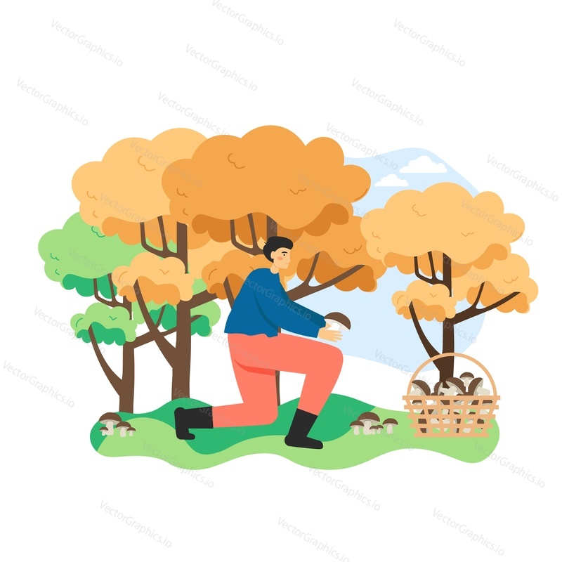 Man picking edible mushroom in autumn forest. Basket full of mushrooms. Outdoor fall season hobby concept vector illustration.