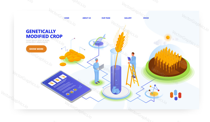 Genetically modified crop, landing page design, website banner template, flat vector isometric illustration. GMO wheat research in science lab.