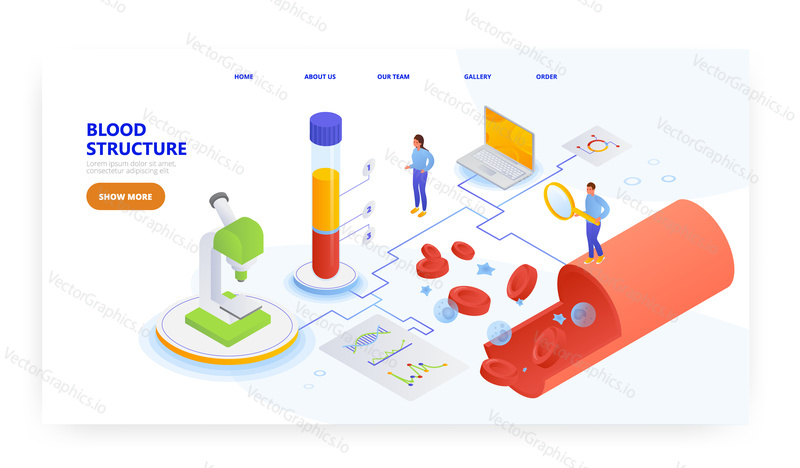 Blood structure, landing page design, website banner template, flat vector isometric illustration. Red, white cells, plasma, platelet. DNA blood test. Human anatomy, hematology.