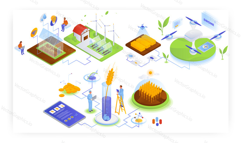 Farming industry and modern agriculture technologies, flat vector isometric illustration. Smart greenhouse, Iot, wireless remote control. Genetically modified wheat. Agricultural drone.