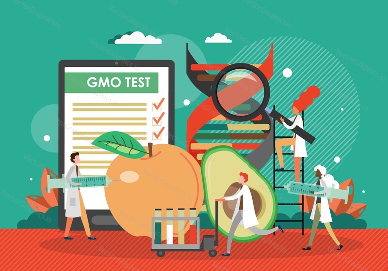 GMO testing lab. Scientists conducting gmo test, experiment with apple, avocado fruits, flat vector illustration. Bioengineered food, genetically modified products.