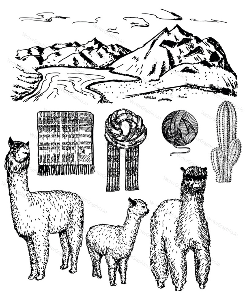 Alpaca icon set. Vector ink hand drawn illustration isolated on white background.