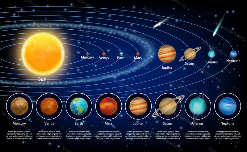 Solar system planets set. Vector realistic illustration of the sun and eight planets orbiting it.