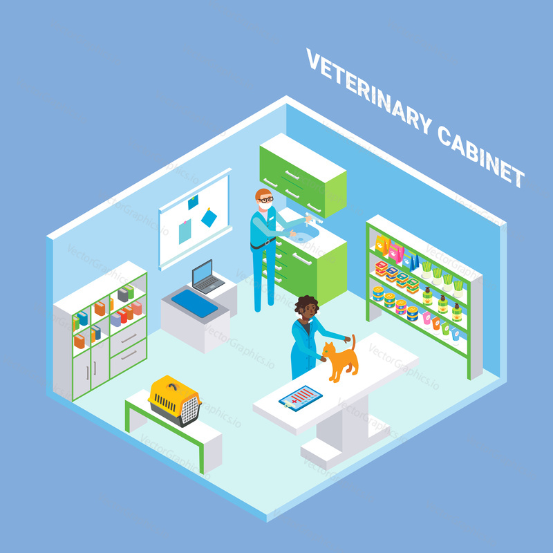 Veterinary cabinet cutaway interior, vector flat isometric illustration. Animal hospital treatment room with furniture, veterinary equipment and supplies, veterinarians checking-up kitten.