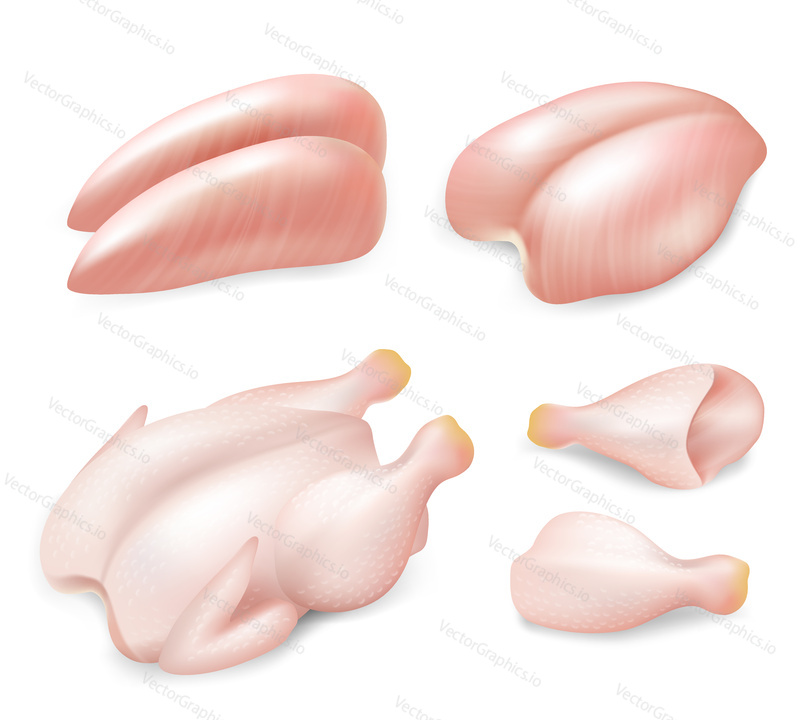 Raw fresh chicken parts set. Vector realistic illustration of whole chicken, breast, breast halves fillets and drumsticks for cooking isolated on white background. Fresh hen meat concept.