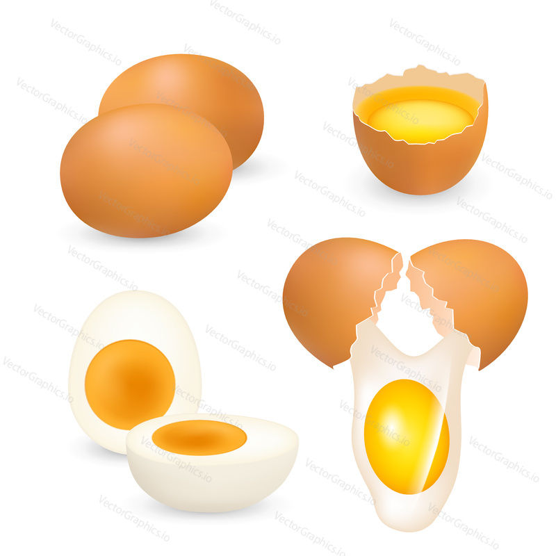 Chicken eggs set. Vector realistic illustration of brown whole and cracked raw eggs and hard-boiled cut in half egg isolated on white background. Healthy organic food concept.