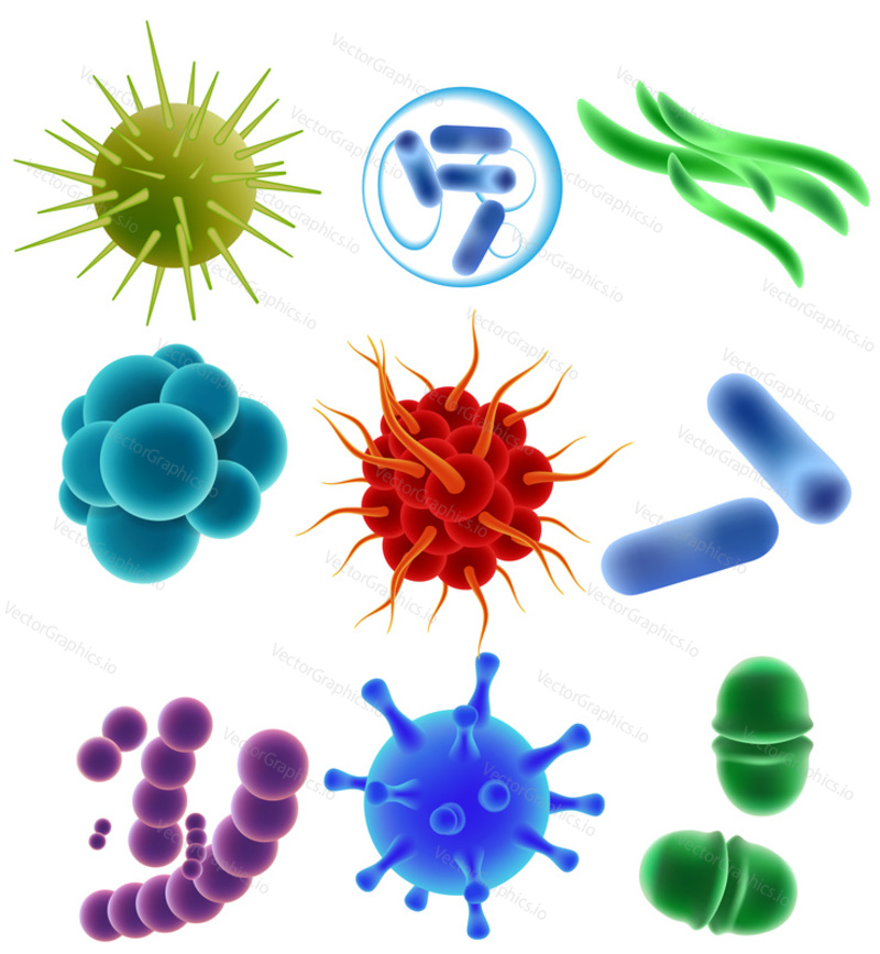 Various viruses, bacteria and germs icon set. Vector realistic illustration of different types of microorganisms, microscopic viruses of various color and shape isolated on white background.