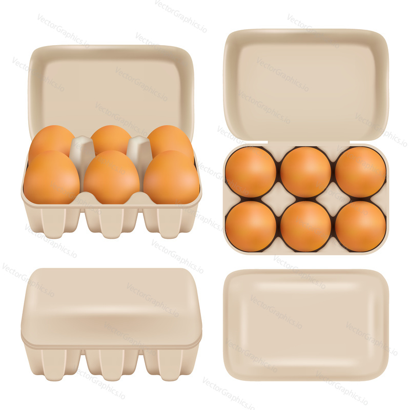 Vector egg carton set. White carton of fresh raw chicken eggs. Consumer pack with brown eggs.