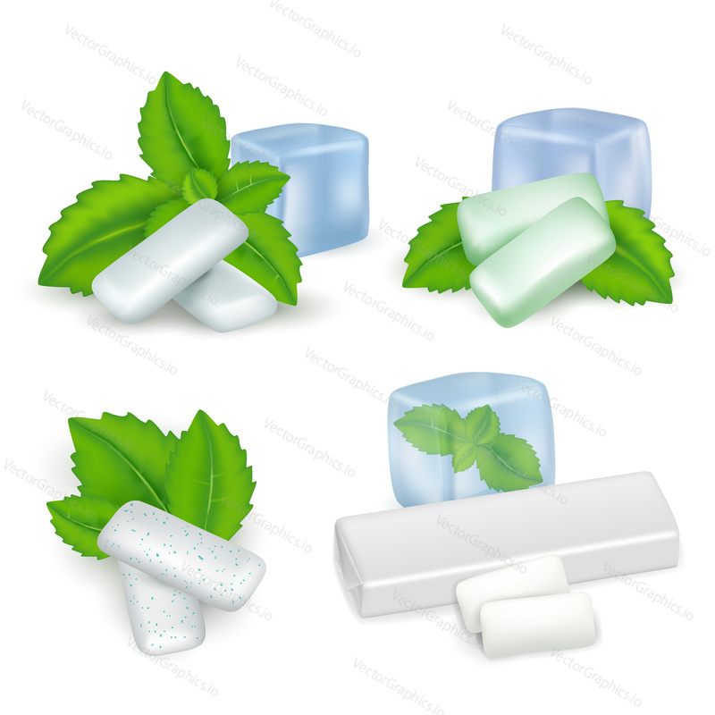 Vector realistic set of bubble gum with mint. Mint chewing gum types.