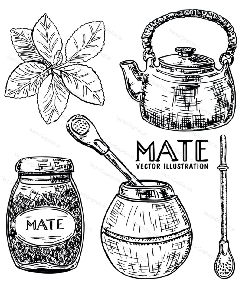 Traditional mate tea set. Vector ink hand drawn sketch style illustration for cafe or restaurant menu, print. Yerba mate ceremony with gourd and bombilla.
