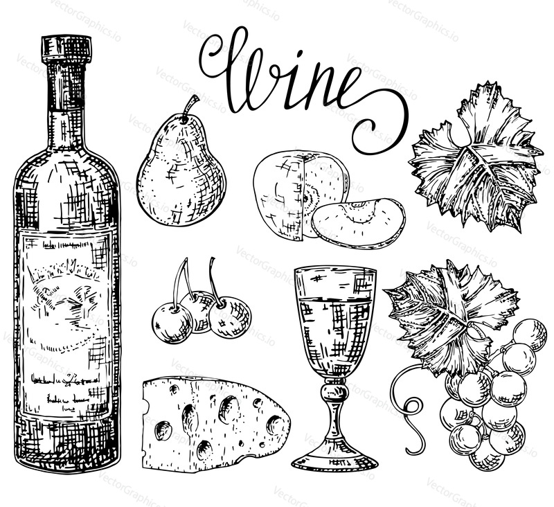 Vector ink hand drawn style illustration of white wine objects for menu, recipe. Bottle of wine, glass of wine, bunch of grapes, apple, pear and cheese isolated on a white background.