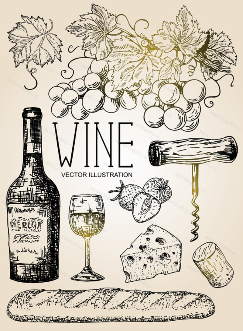 Vector ink hand drawn style illustration of red wine objects for menu, recipe. Bottle of wine, glass of wine, bunch of grapes, strawberry, bread, cheese, cork and corkscrew.