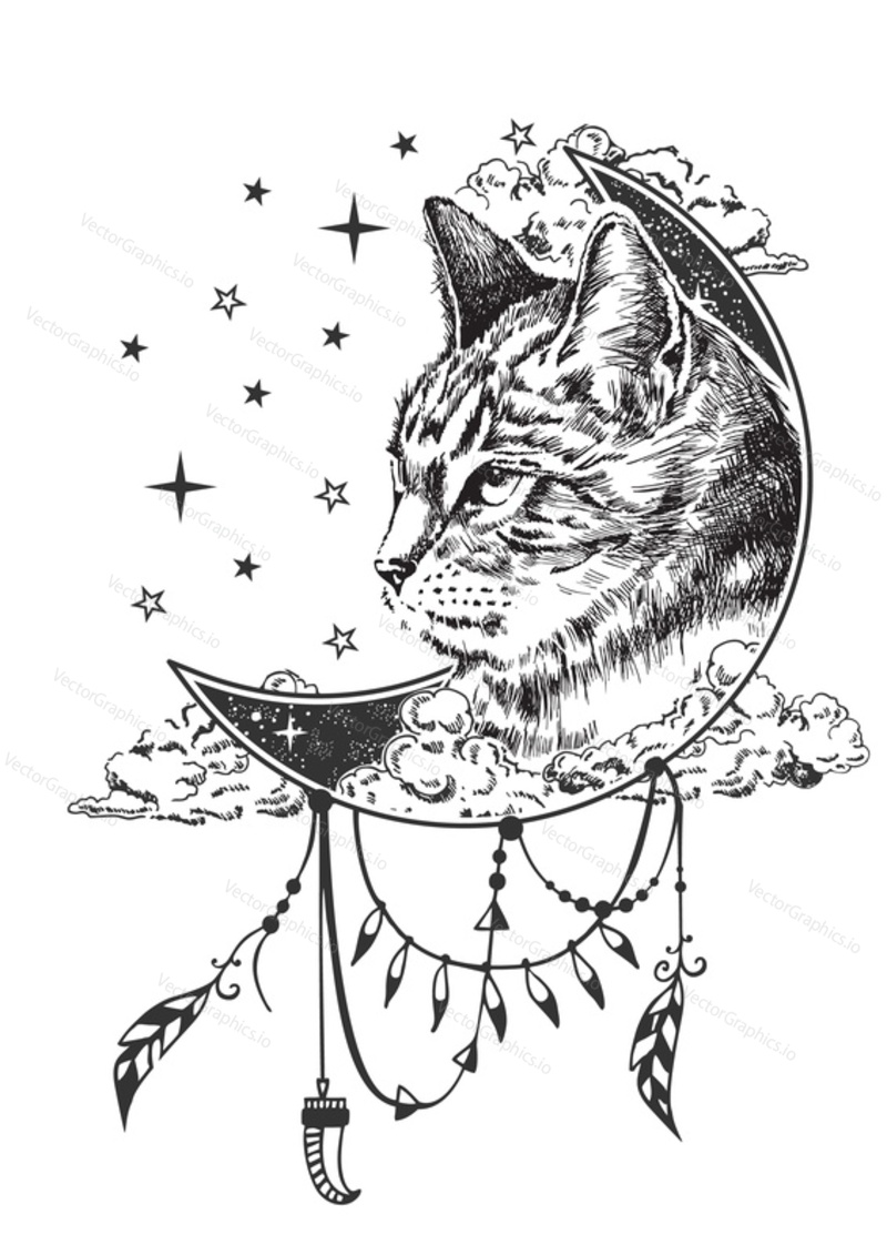 Vector boho cat tattoo or t-shirt print design. Cat head on crescent moon combined with nature and boho elements.