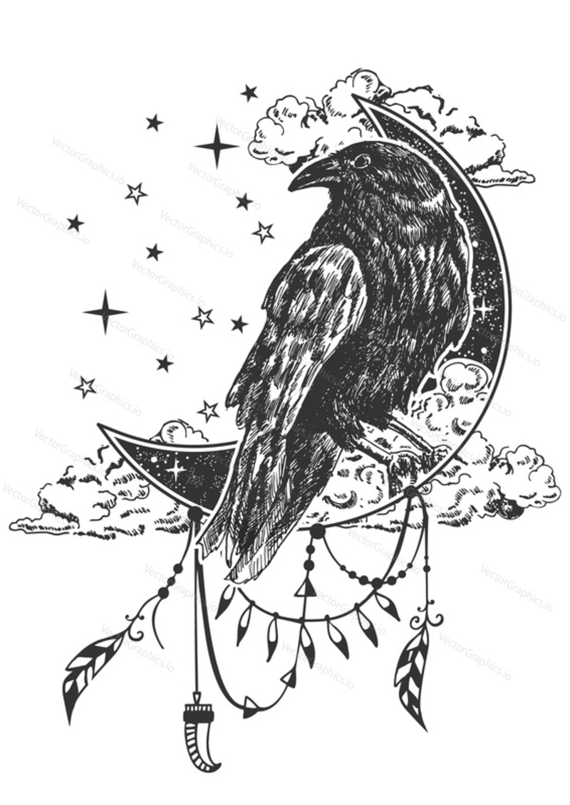 Vector boho raven bird tattoo or t-shirt print design. Black raven on crescent moon combined with nature and boho elements.
