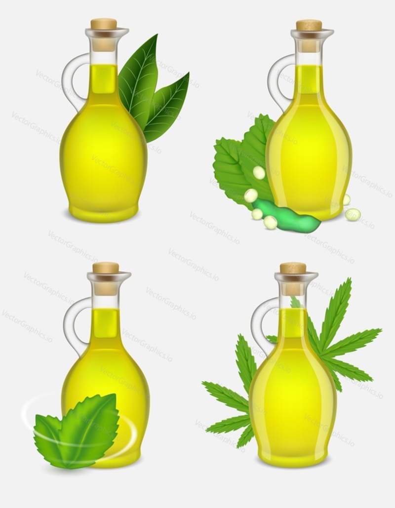 Different types of plant oil bottle set. Vector realistic illustration of tea tree, soy, peppermint and hemp oil glass bottles with green leaves, used in cooking, medicine and cosmetics.