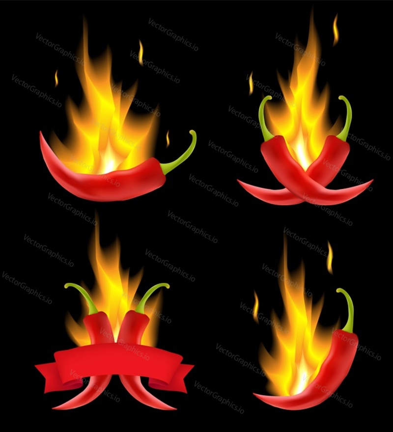 Red hot chili pepper set. Vector realistic illustration of burning chilli peppers in fire. Spice used for cooking to add heat to dishes.