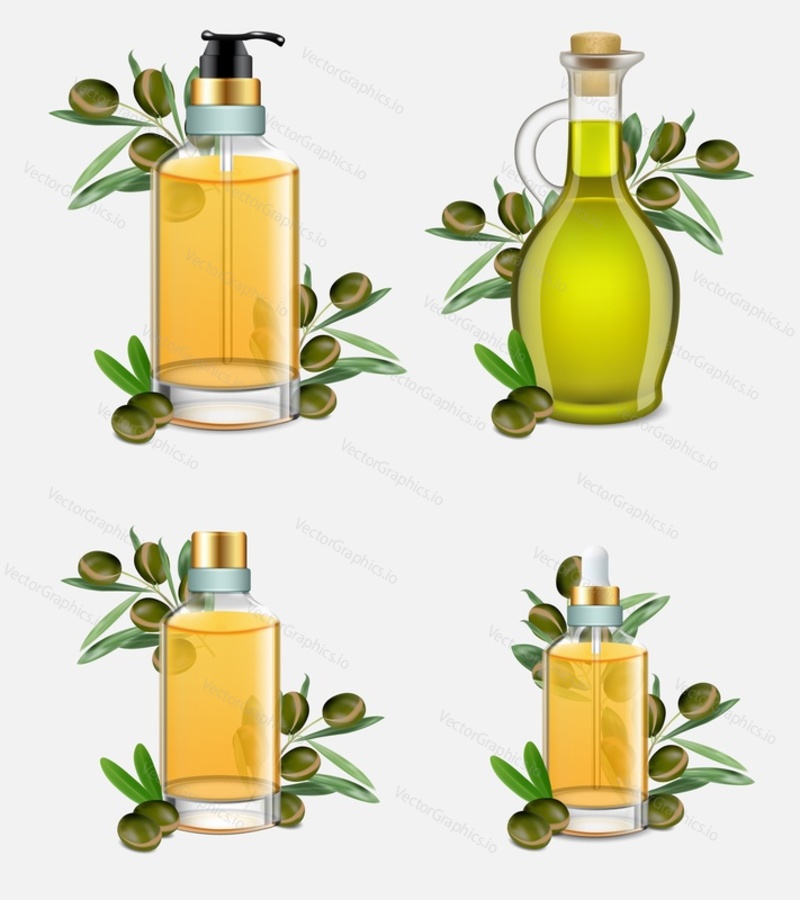 Argan oil bottle set. Vector realistic illustration of argan tree branches with fruit and argan oil used in cooking and cosmetics.