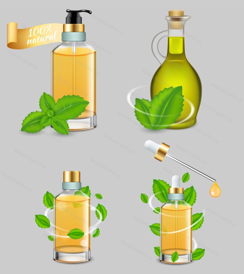 Peppermint essential oil set. Vector realistic illustration of oil bottles with peppermint plant leaves, used in cooking, for medical purposes, aromatherapy, hair and skin care.