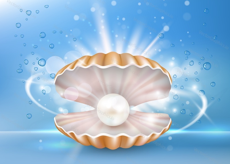 Vector realistic mother-of-pearl seashell with shining pearl inside of it. Beautiful marine pearl shell box. Jewellery advertising poster, banner design template.