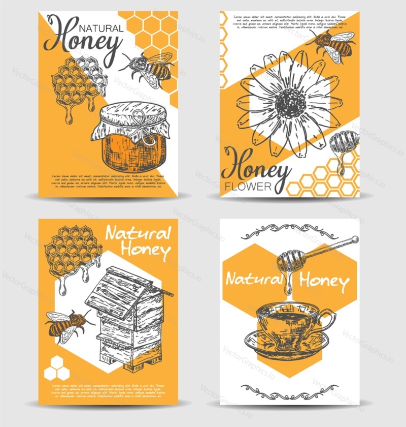 Bee natural honey vector hand drawn card template set. Honey product banner, poster, flyer collection illustration