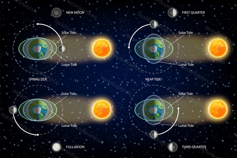 Lunar and Solar tides diagram. Vector illustration. Educational poster, scientific infographic, presentation template.