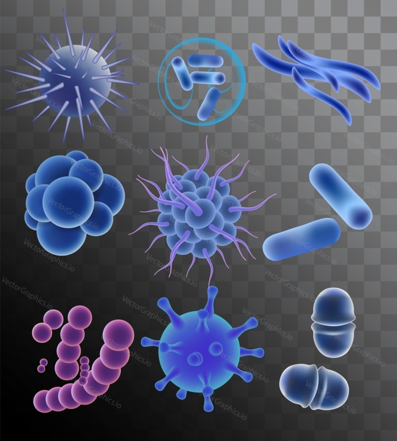 Blue viruses, bacteria and microbes. Vector realistic illustration isolated on transparent background.