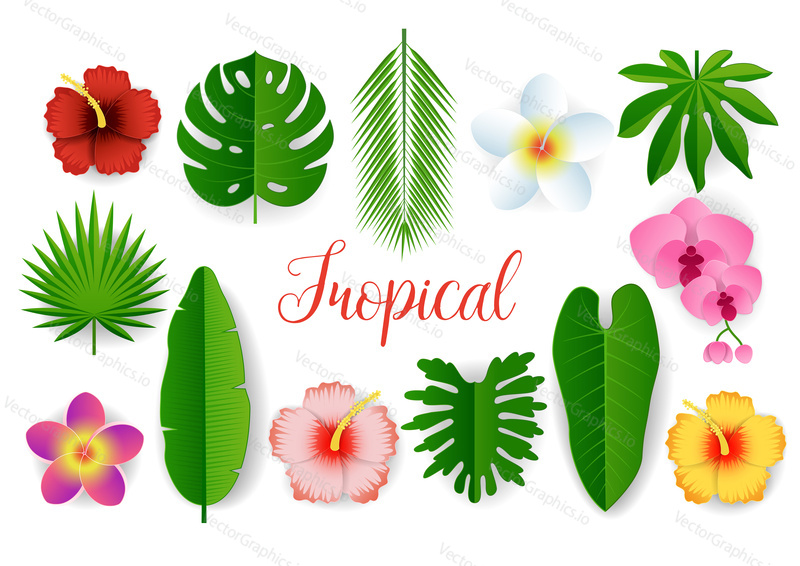 Tropical plant set. Vector paper cut monstera, bamboo, cocos palm leaves, hibiscus hawaiian aloha, frangipani flowers etc. Modern craft style design elements for party invitation greeting card poster.