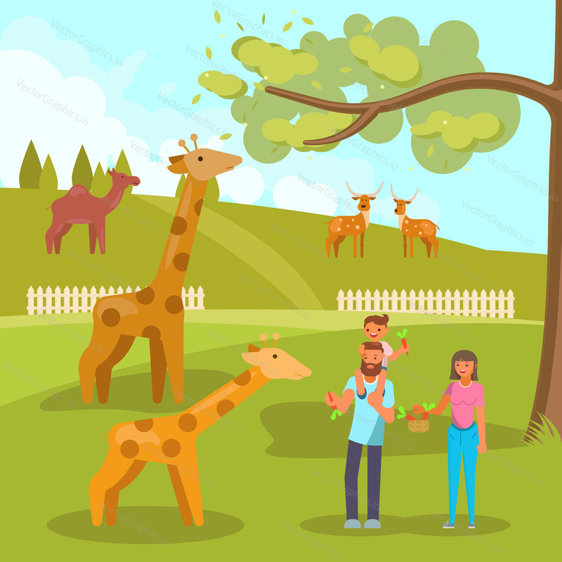 Zoo animals vector flat style design illustration. Happy family feeding carrots to baby giraffe.