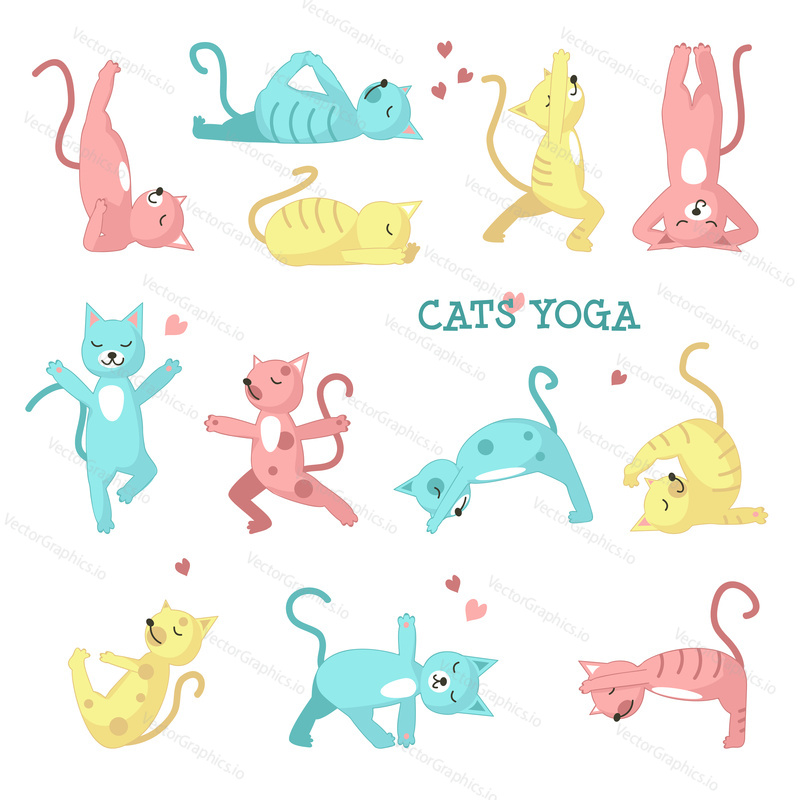 Cats yoga icon set. Cute color cats doing yoga poses. Vector illustration isolated on white background.